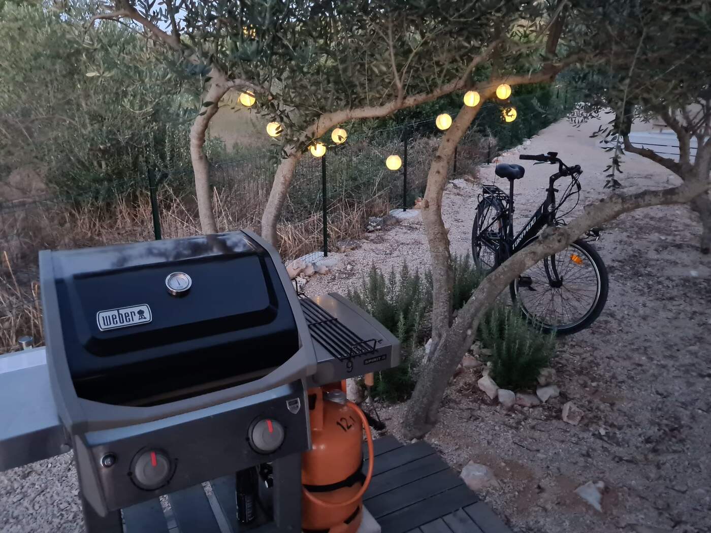 Weber grill and evening lights