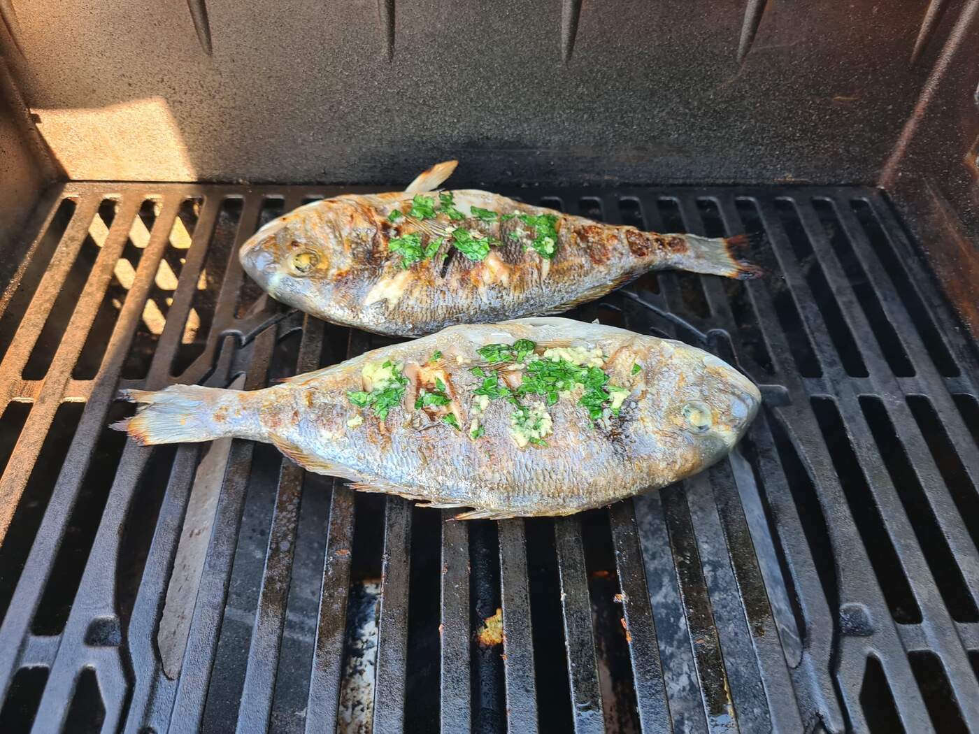 Fresh fish on the grill
